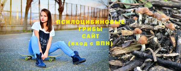 ALPHA PVP Лабытнанги