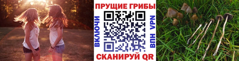 ОМГ ОМГ маркетплейс  Полярный  Галлюциногенные грибы MAGIC MUSHROOMS 